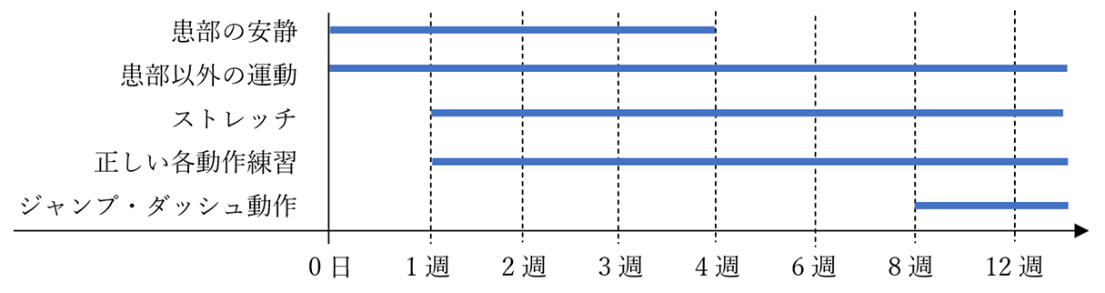 当院のプログラム（運動・装具等）の目安