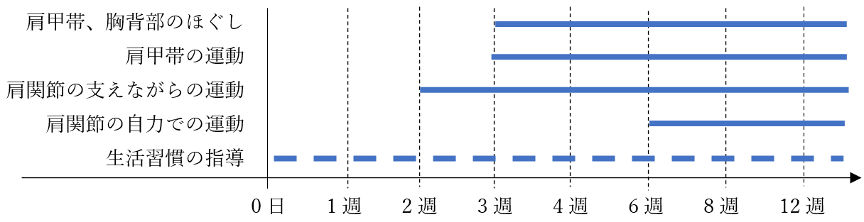 当院のプログラム(運動・装具等)の目安(非手術の場合)