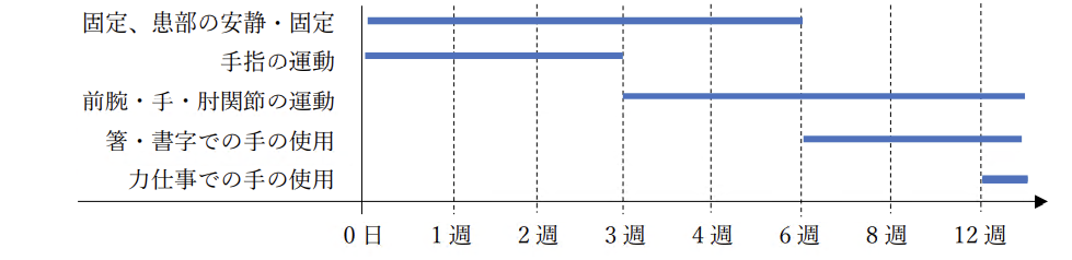 当院のプログラムの目安